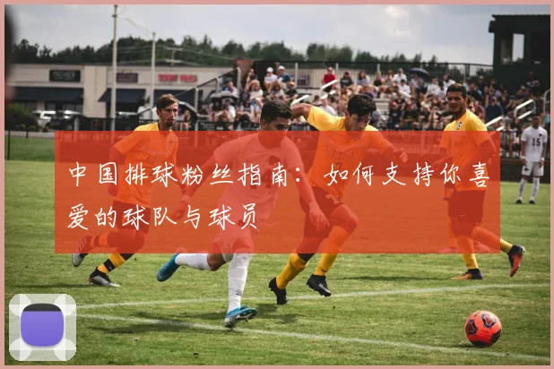 中国排球粉丝指南：如何支持你喜爱的球队与球员