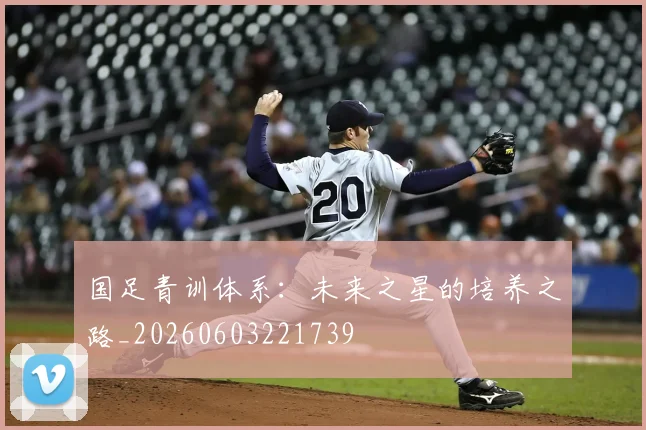 国足青训体系:未来之星的培养之路_20260603221739