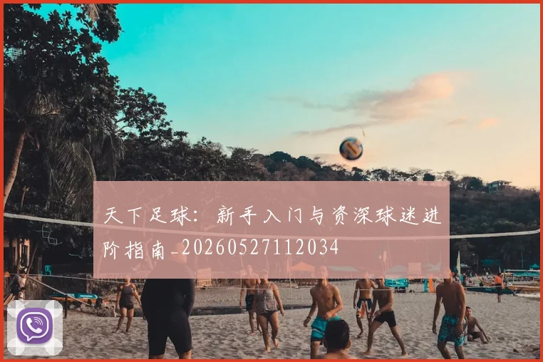 天下足球:新手入门与资深球迷进阶指南_20260527112034