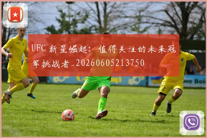 UFC 新星崛起：值得关注的未来冠军挑战者_20260605213750