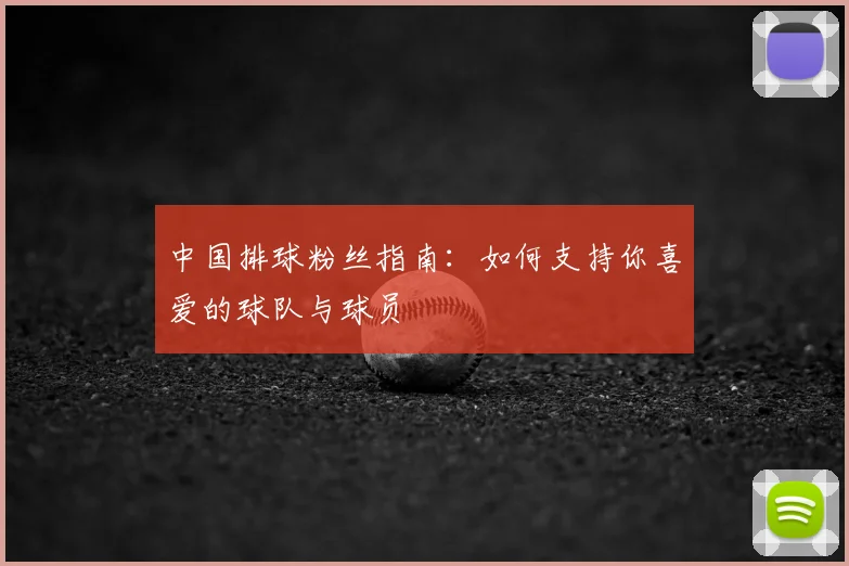 中国排球粉丝指南：如何支持你喜爱的球队与球员